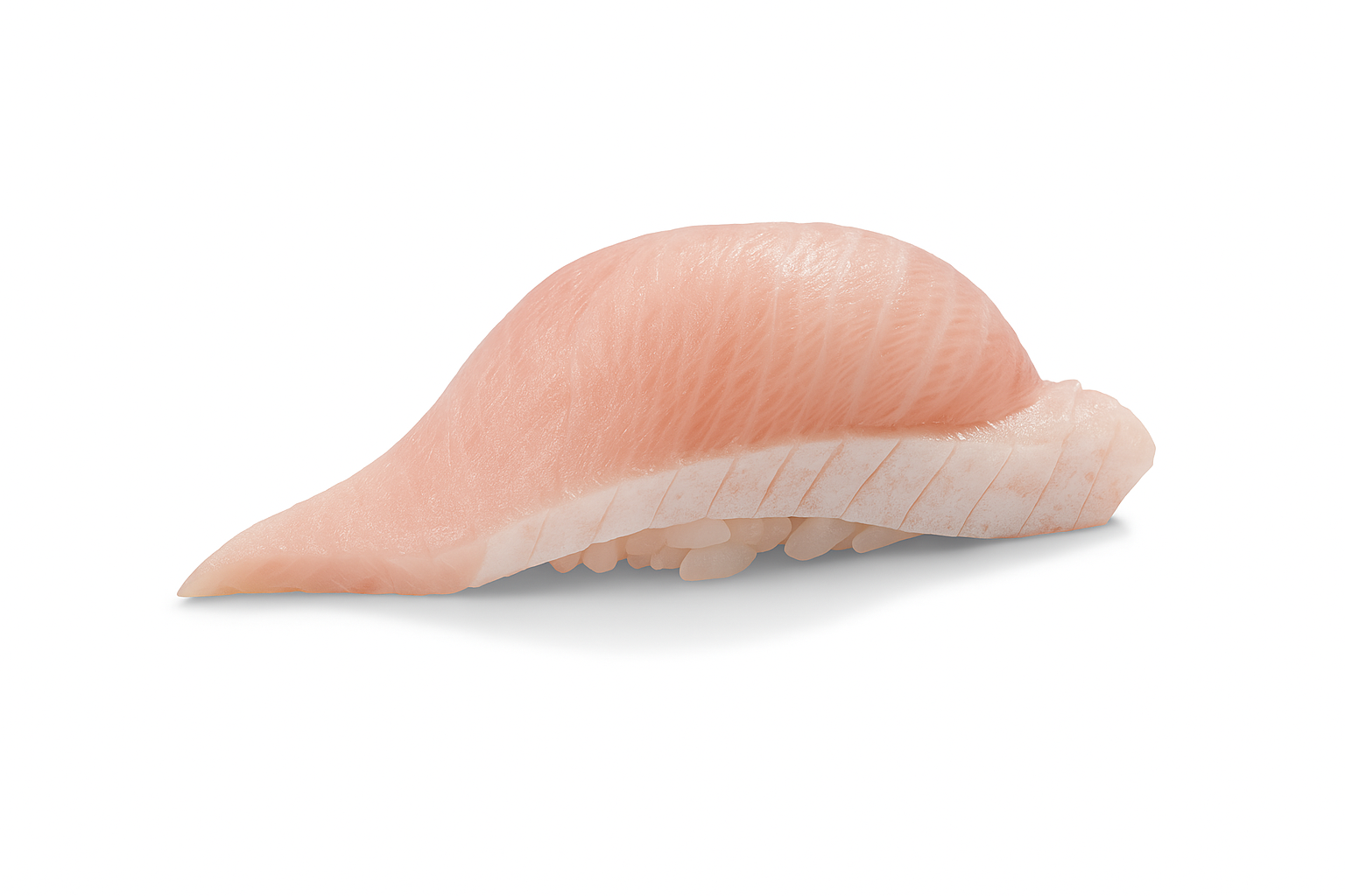 Pink shell-like object on a white background